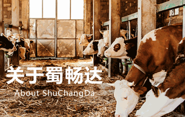 蜀畅达火锅食材超市